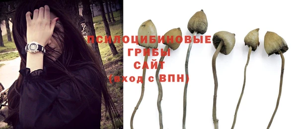 спиды Нягань