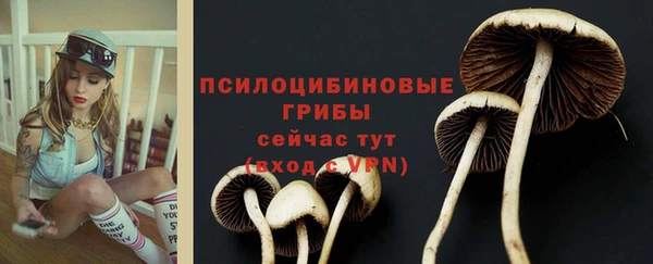 спиды Нягань