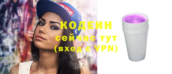 метадон Няндома