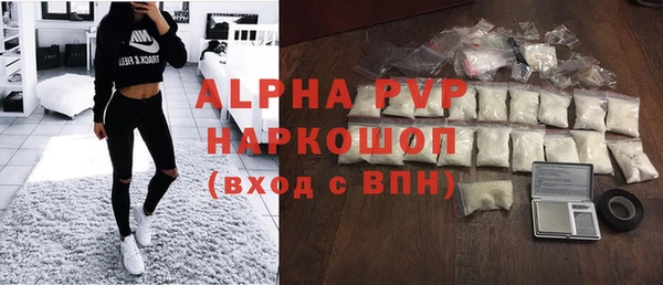 apvp Иннополис