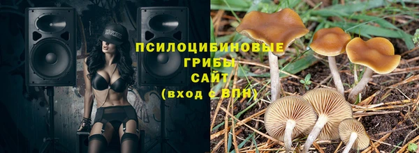 метадон Няндома