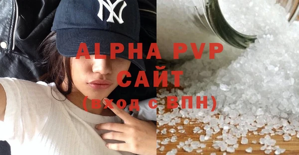 apvp Иннополис