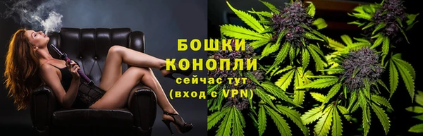 метадон Няндома