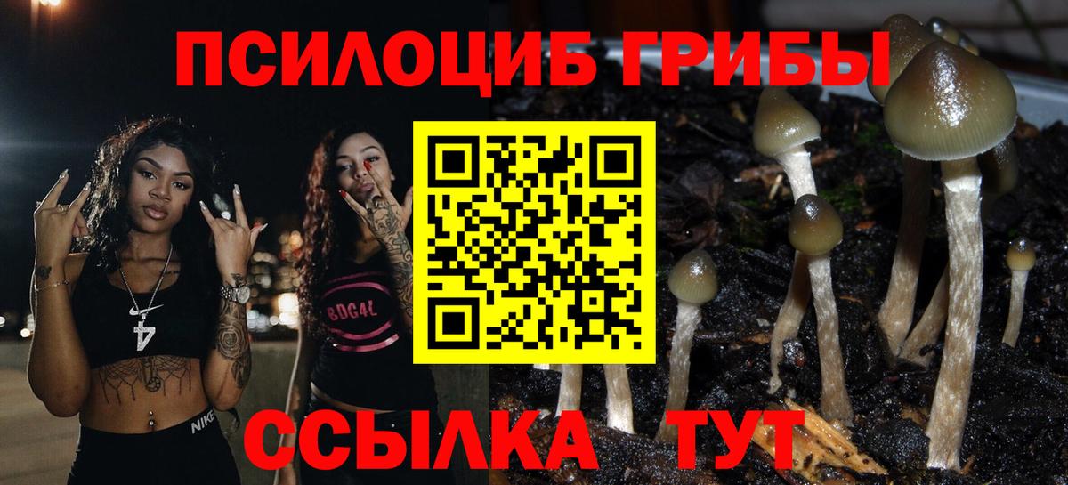 Приморско-Ахтарск  Галлюциногенные грибы Magic Shrooms  Вход с VPN 